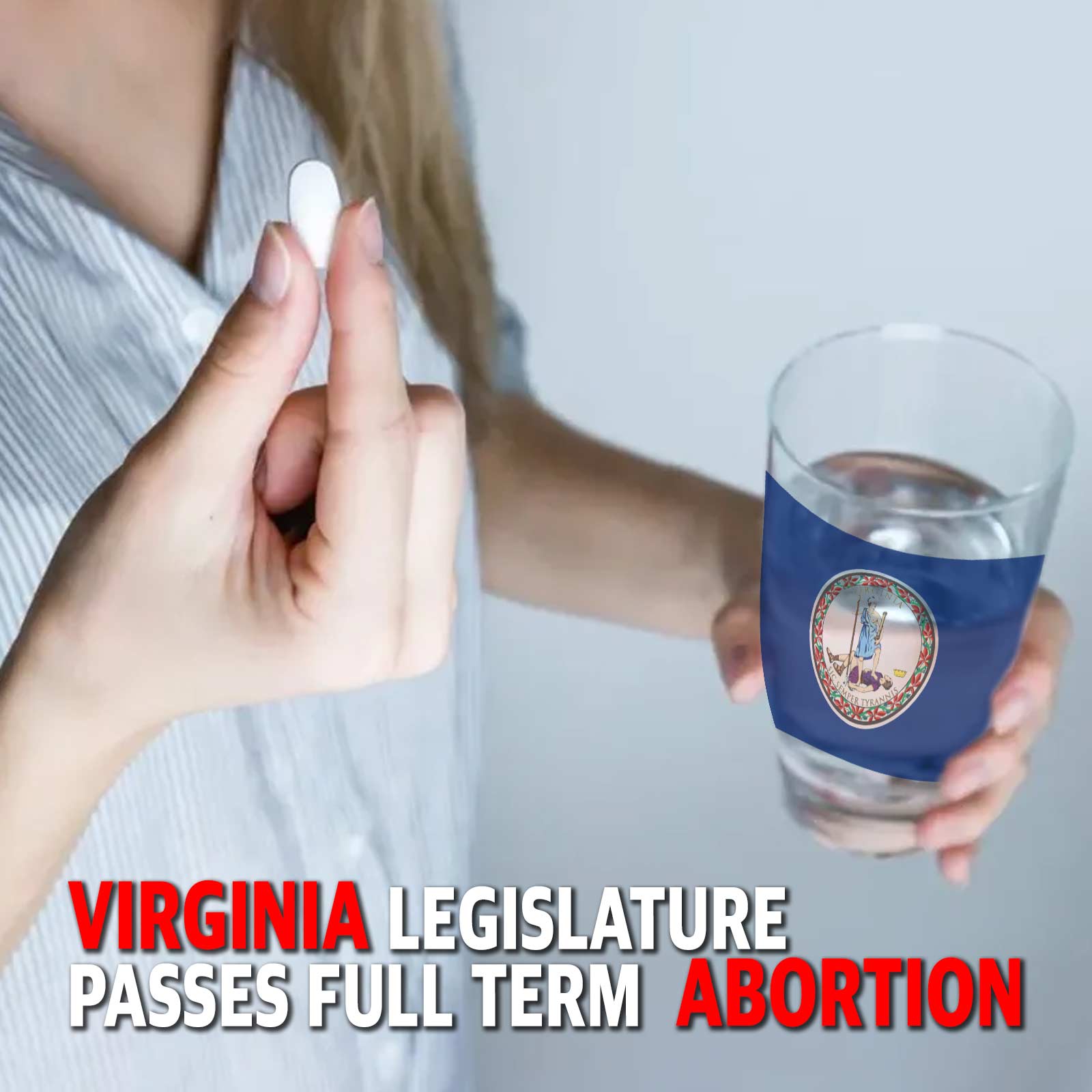 PREVIEW MCS 2293: Virginia Legislature Passes Full Term Abortion