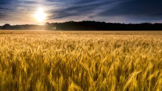 Reconquest Episode 158: Why Matter Matters. Guest: Dr. David Lang
