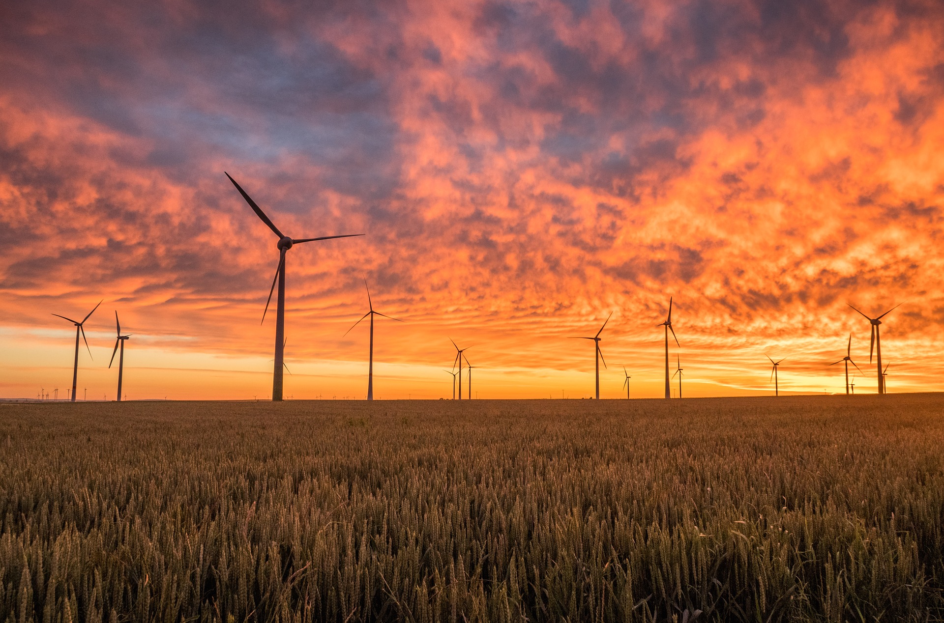 The Barrett Brief - Green Deal