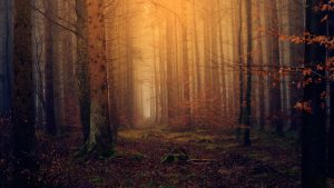 Autumn Equinox