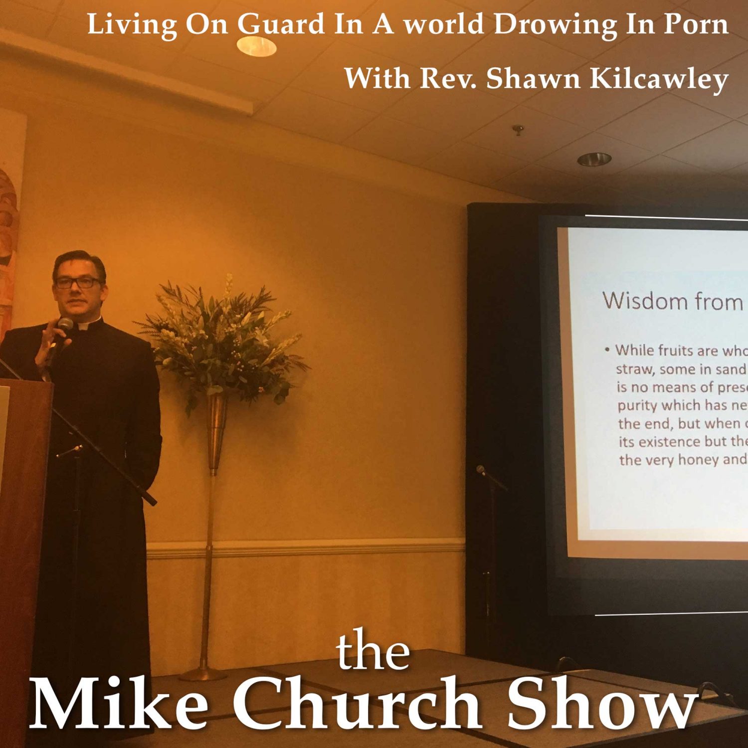 Living On Guard In A World Drowning In Porn-Mike Church with Fr. Shawn Kilcawley