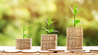 Private Economies
