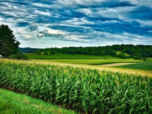 Iowa Drought