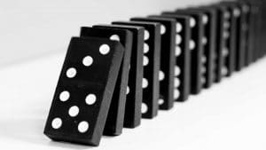 Fraud Investigations