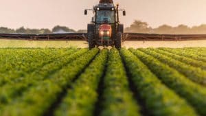 Free Farm Friday