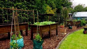 Self-Sufficiency