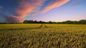 Farm Access