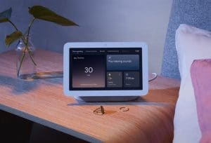 nest hub