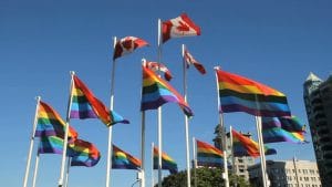 Rainbow Purification League