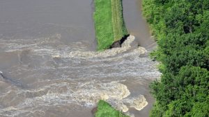 Industrialized Farming