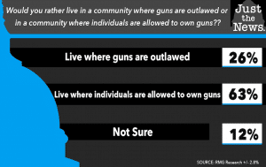 gun ownership