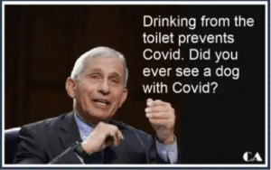 COVID Guidelines