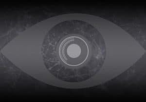 warrantless surveillance