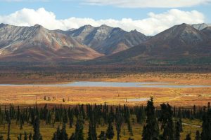 Arctic refuge