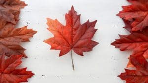 Canada Day