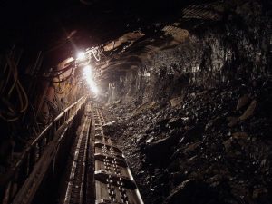 coal imports