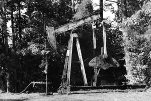 Oil
