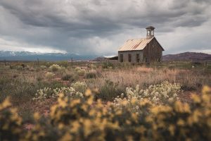 Foreign Land Purchases
