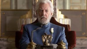 Hunger Games Global Cult