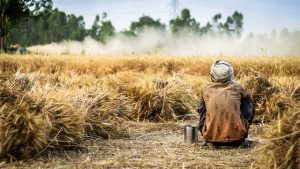 Food Supply Shortages