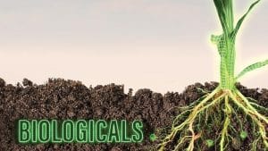 Free Farm Friday: Biologicals Are The Jurassic Park Mistake Coming To Big Ag Farming