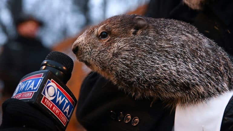 Mike Church Show-When Groundhog Day Is The News Event Of The Day We’ve Reached Media Overload!