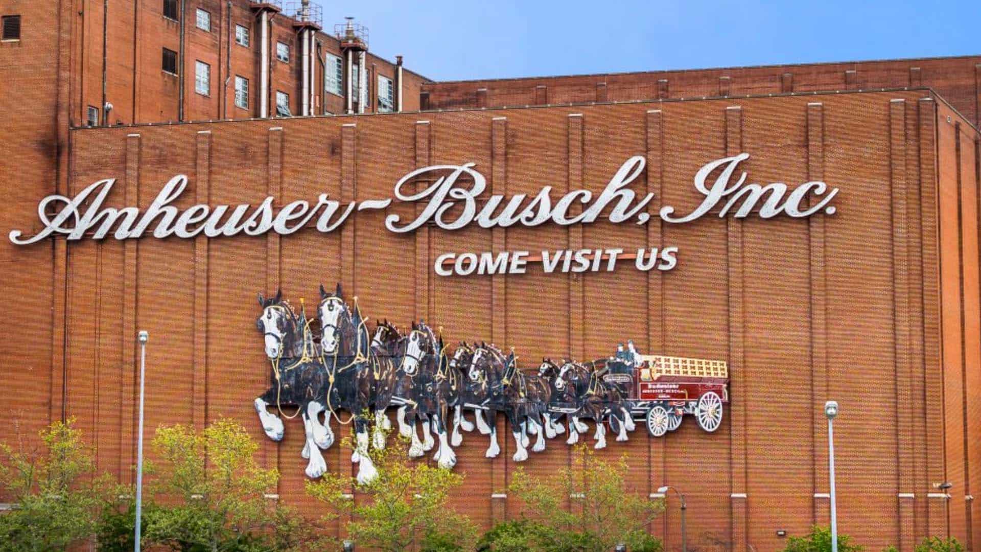 The Mike Church Show- Anheuser Busch Has Earned Our Boots On Their Trans-Promoting Neck!