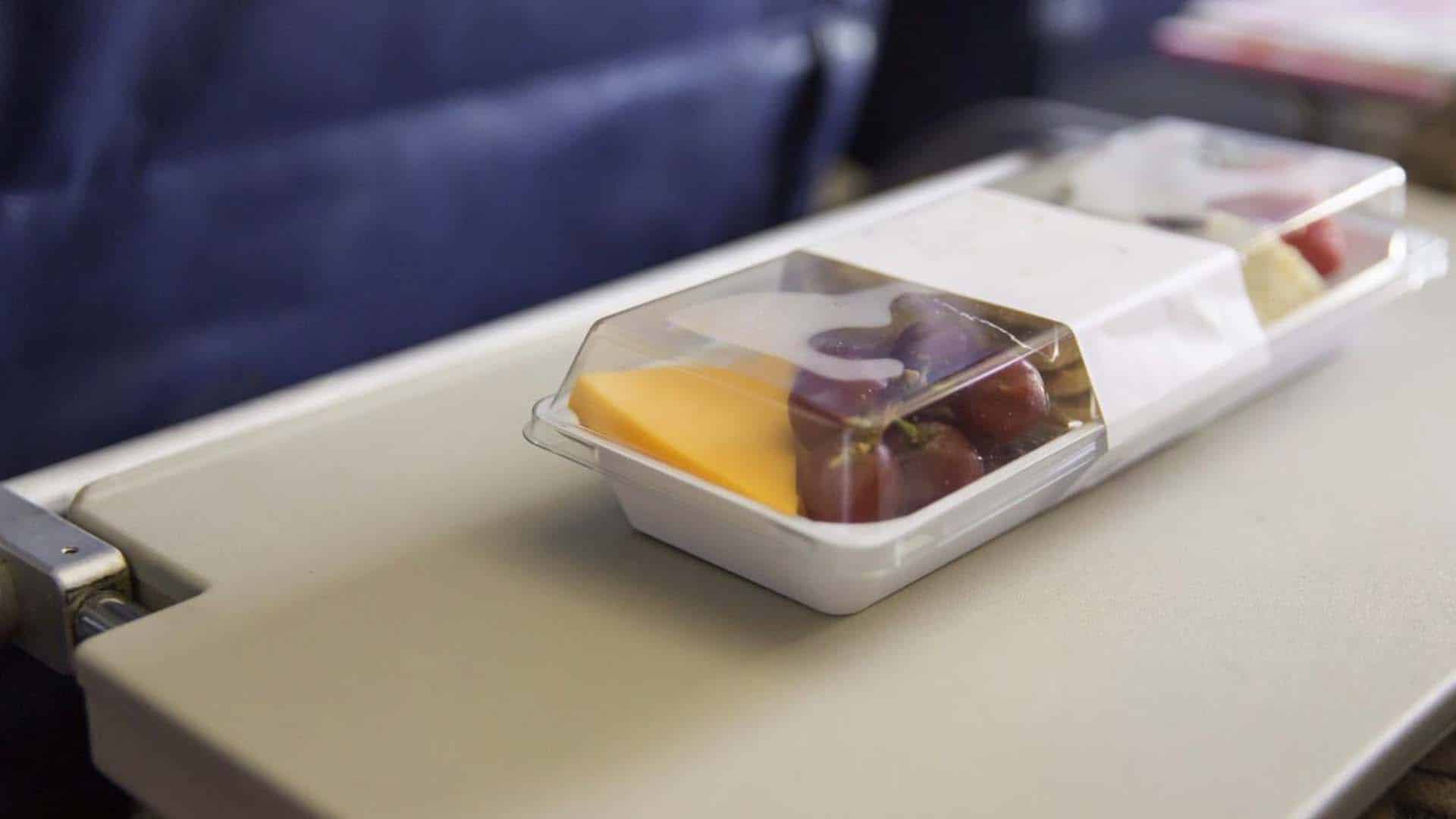 Parrott Talk Snacks On A Plane