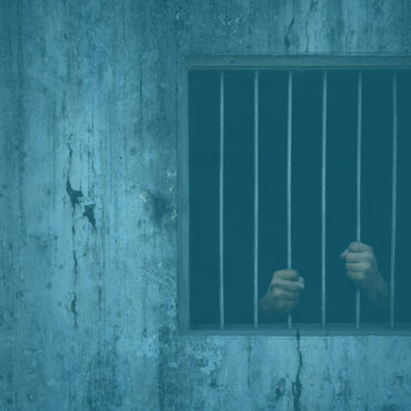 Parrott Talk-If You Stand For A Principle, You Accept The Consequences