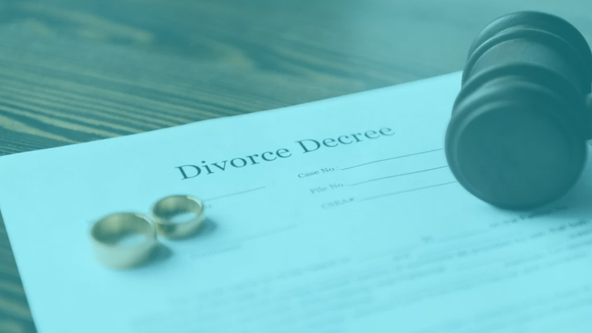 Parrott Talk-The Modern Day Treatise On Divorce