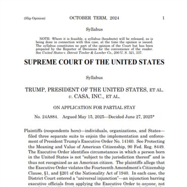 PREVIEW MCS #2178: No More Anchor Babies