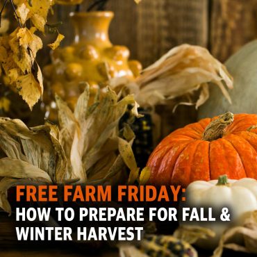Free Farm Friday MCS 2222: How to Prepare for Fall & Winter Harvest