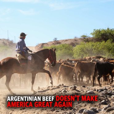 Free Farm Friday MCS 2244: Argentinian Beef Ain’t MAGA