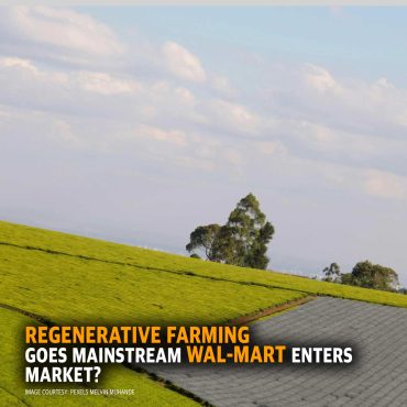 Free Farm Friday MCS 2249: Regenerative Farming Goes Mainstream