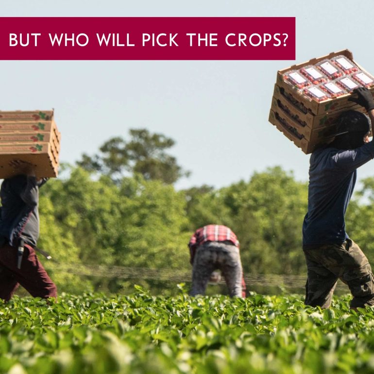 Amnesty for Illegal Alien Farm Hands and Hospitality Workers? - The CRUSADE Radio Network Amnesty for Illegal Alien Farm Hands and Hospitality Workers?