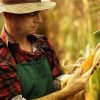 Free Farm Friday
