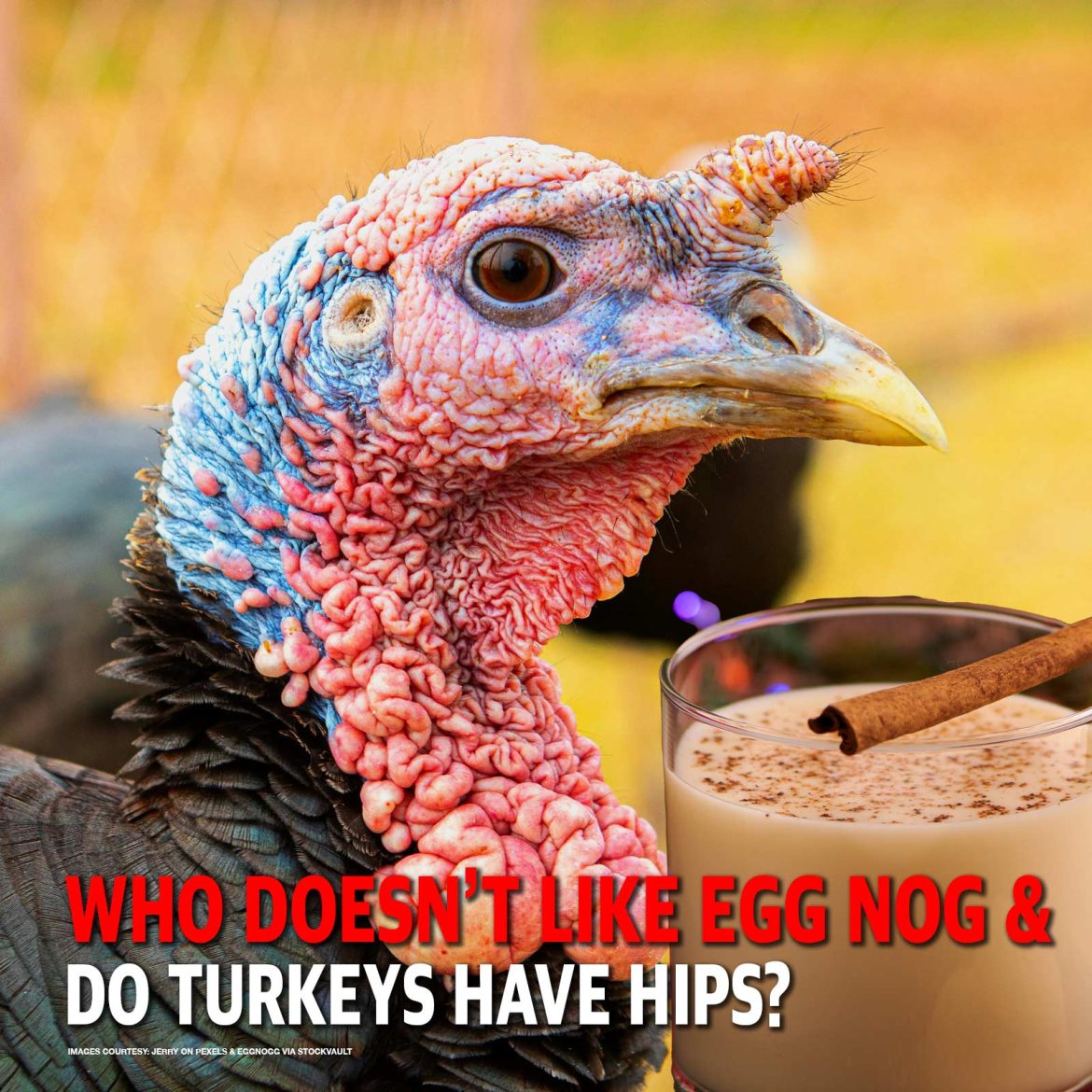 Free Farm Friday MCS 2264: Egg Nog & Turkey Hips!
