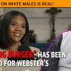 MCS #2279 – “NOTHING BURGER” Has Been Redefined for Webster’s