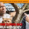 MCS #2290 – TRUMP: Time to Bring Back Whole Milk Mustaches!